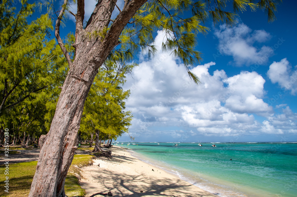 Le Morne public beach in Mauritius. Palms and crystal clear water on a beautiful sunny day Le Morne public beach in Mauritius. Palms and crystal clear water on a beautiful sunny day
