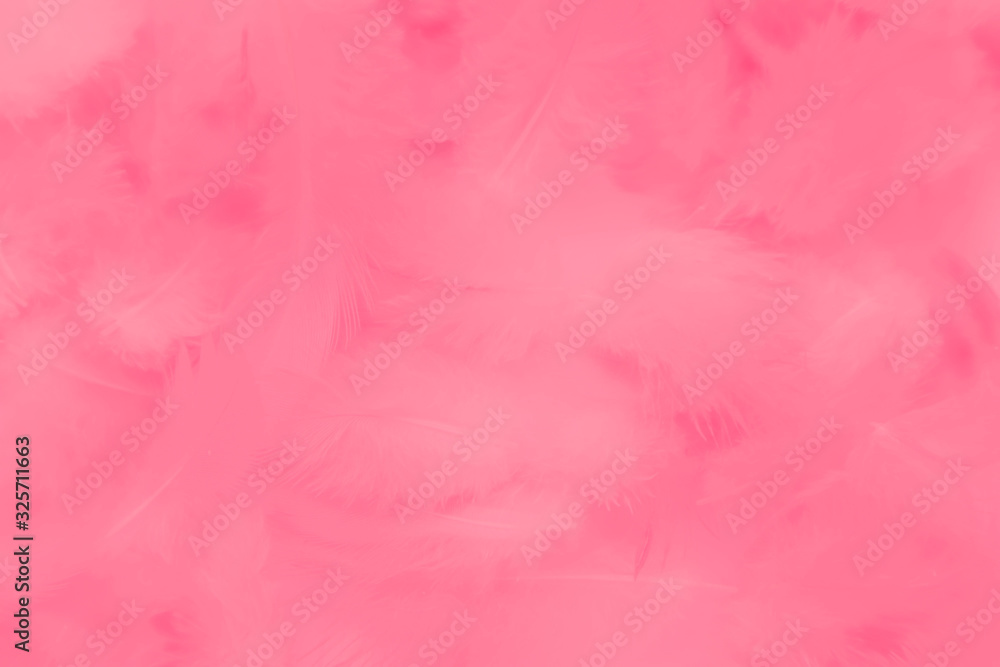 Fototapeta premium Beautiful abstract colorful white and pink feathers on white background and soft white feather texture on white pattern and light pink background valentine day