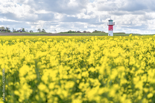 Lighthouses and a rapeseed field in south Sweden  Ven Island