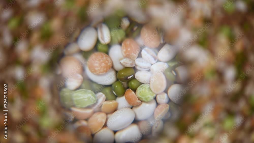 Raw healthy grain food. Beans on rotating background. Grains and seeds texture. Food ingredient background. Top view, healthy lifestyle concept. Vegan healthy nutrition Raw healthy grain food. Beans on rotating background. Grains and seeds texture. Food ingredient background. Top view, healthy lifestyle concept. Vegan healthy nutrition