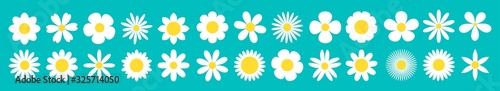 White daisy chamomile set line. 26 round sign symbols. Camomile icon. Cute round flower plant collection. Yellow heart center. Growing concept. Love card Flat design. Green background. Isolated.