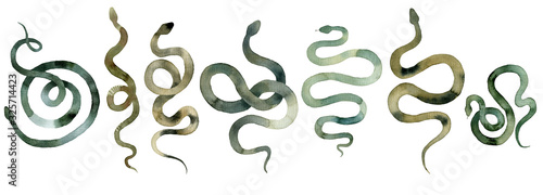 green different snakes, set of abstract watercolor, hand drawing, illustration