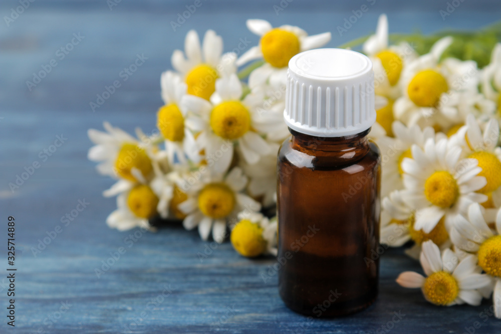 Medicinal chamomile and chamomile extract in a bottle. oil from chamomile flowers. aromatherapy. a drug. on a blue wooden table. close-up Medicinal chamomile and chamomile extract in a bottle. oil from chamomile flowers. aromatherapy. a drug. on a blue wooden table. close-up