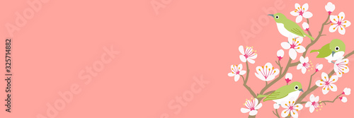 Three little birds perching on Cherry blossom twigs, banner ratio