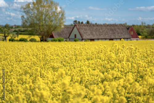 Farm house in the middle of farmland and fields, selective focuse