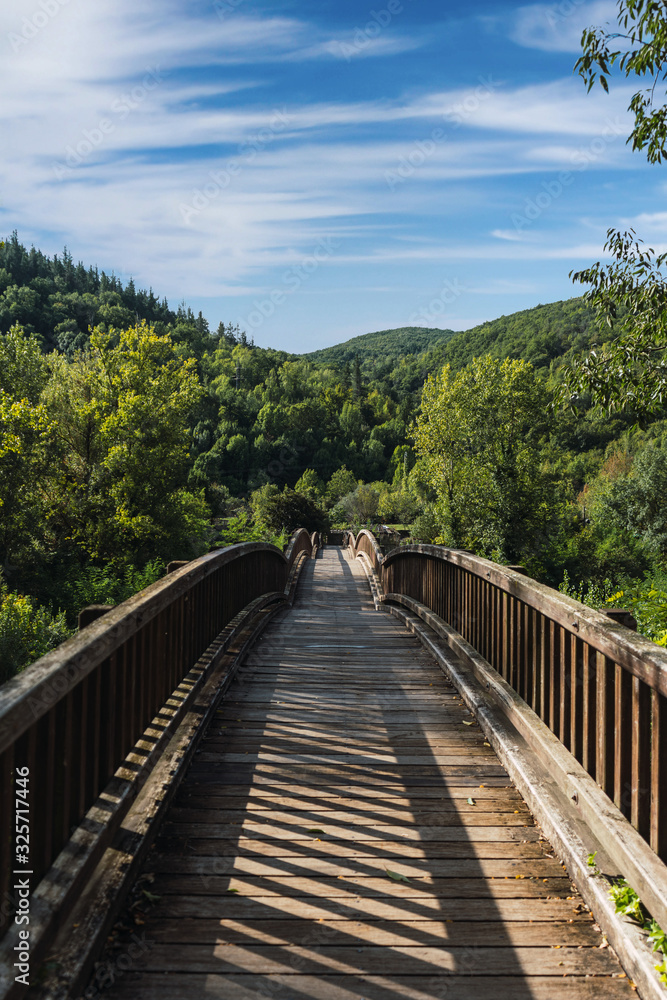 Wooden bridge surrounded by vegetation and trees with clouds in the blue sky