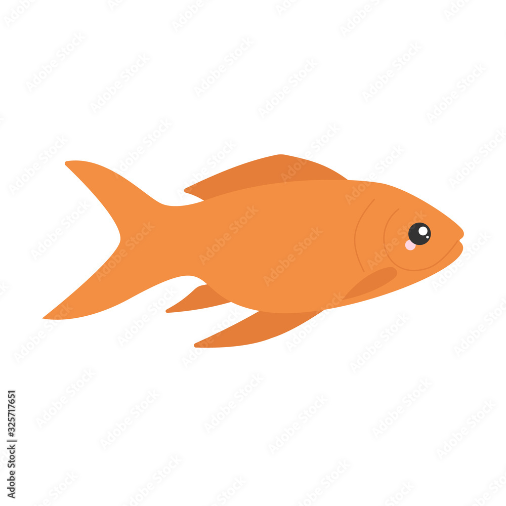 Vector illustration of a goldfish. Vector illustration of a goldfish.