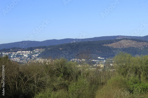 The Galician deciduous forest in the month of February