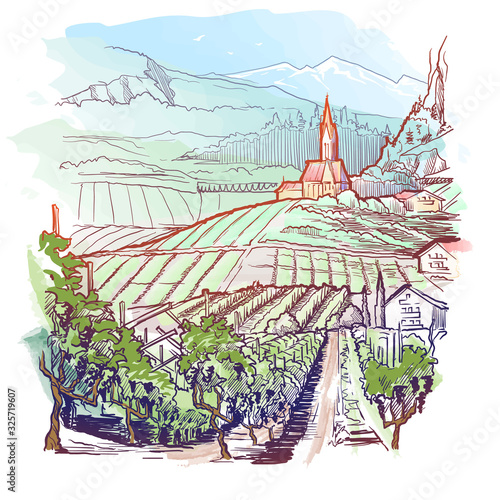 Vinyard in Tirol Alps, Austria. Rural panorama of the mountain valley with a grapevine plantation and village. Vintage design. Linear sketch on a watercolor textured background. EPS10 vector.