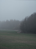 misty autumn gloomy morning landscape