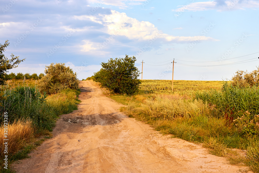 Country dirt road in the field, summer time