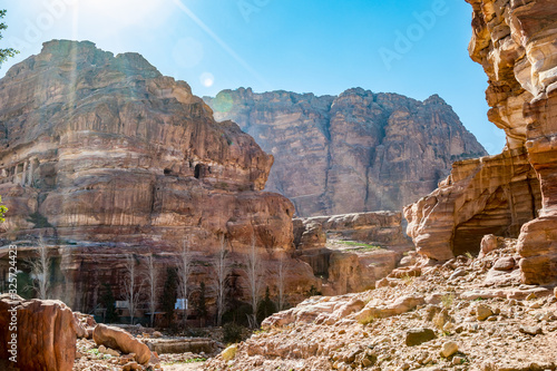 Poplar trees planted under cliff near the scenery Street of Facades with tombs and temples created hundreds of years. Petra complex tourist attraction, Hashemite Kingdom of Jordan