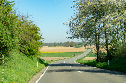 Spring landscape with fields, orchards and roads in Haspengouw region, Limburg, Belgium photo