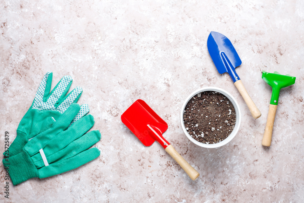 Gardening tools on light background with house plant and gloves,top view Gardening tools on light background with house plant and gloves,top view