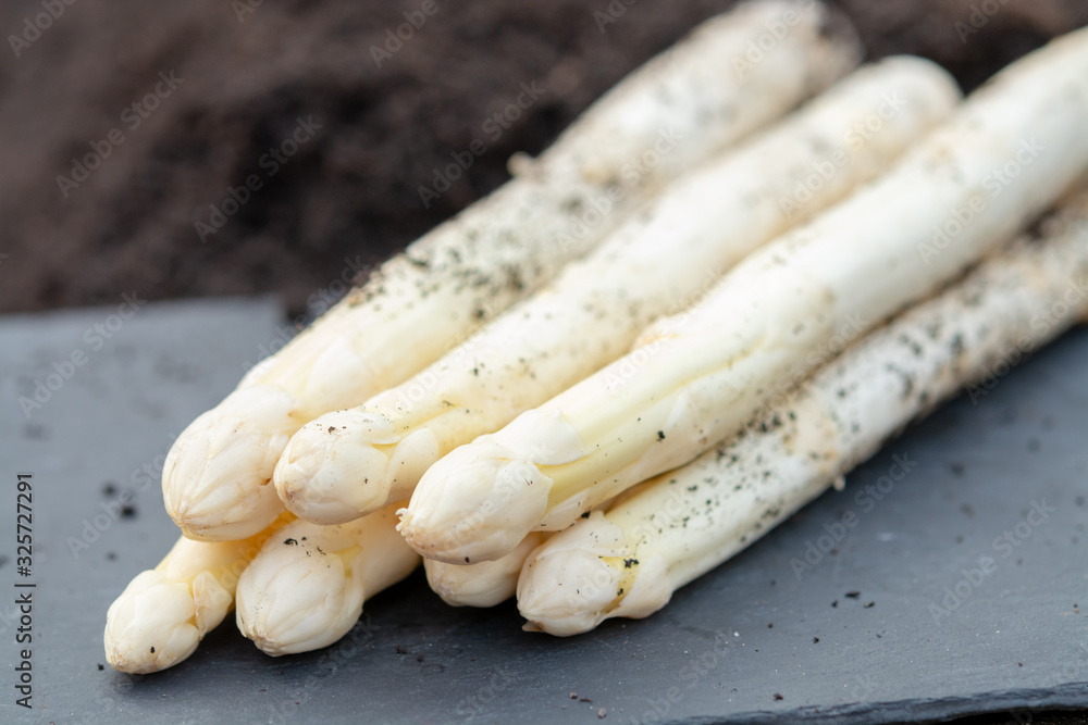 New harvest of white asparagus vegetable plant on farm fields in Netherlands and Germany New harvest of white asparagus vegetable plant on farm fields in Netherlands and Germany