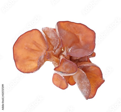 Jew's ear, Wood ear, Jelly ear isolated on white background.top view