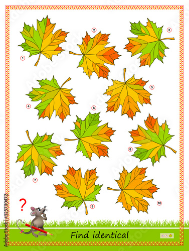 Logic puzzle game for children and adults. Find two identical leaves. Printable page for kids brain teaser book. Developing spatial thinking skills. IQ training test. Flat vector cartoon image.