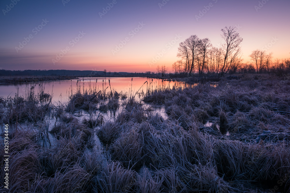 Dawn over the Pilica backwaters near Przybyszew, Masovia, Poland