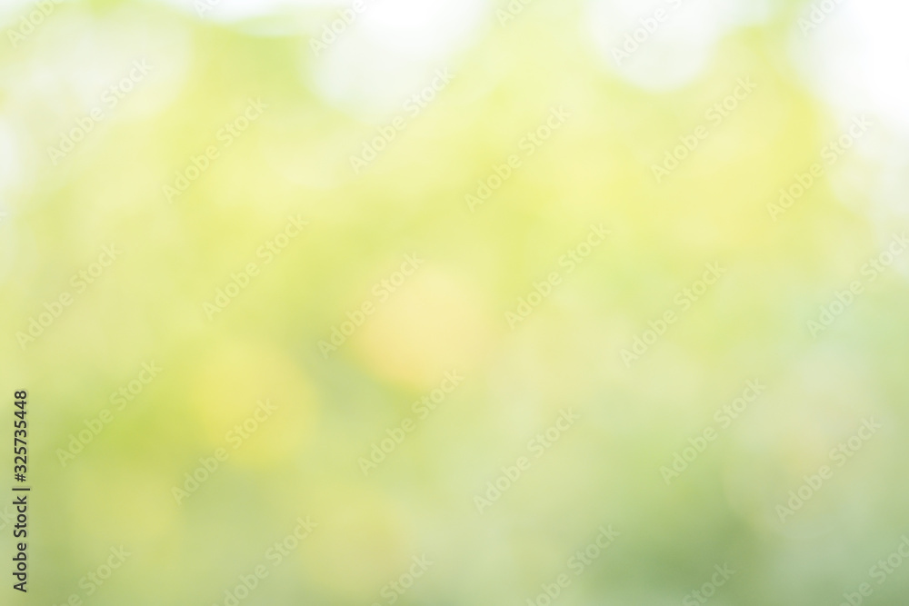 abstract green bokeh background abstract green bokeh background
