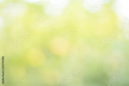abstract green bokeh background 