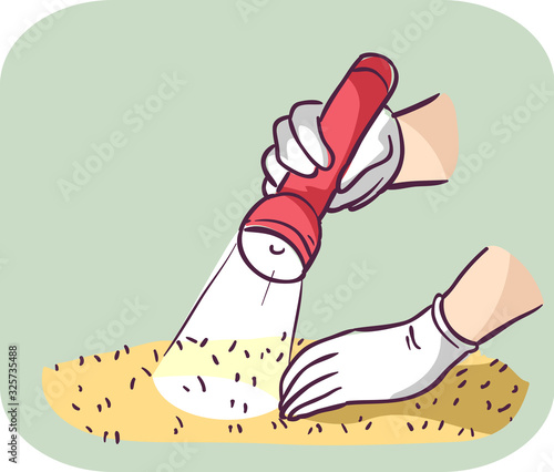 Hands Flea Inspection Carpet Illustration