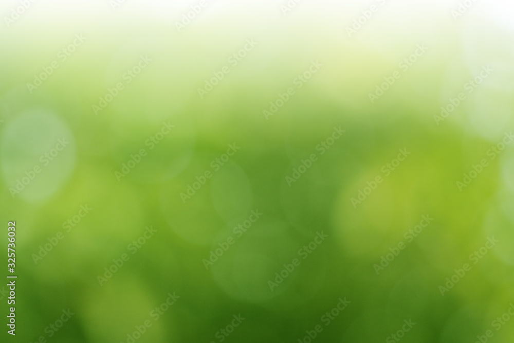 Green bokeh background.abstract green nature
