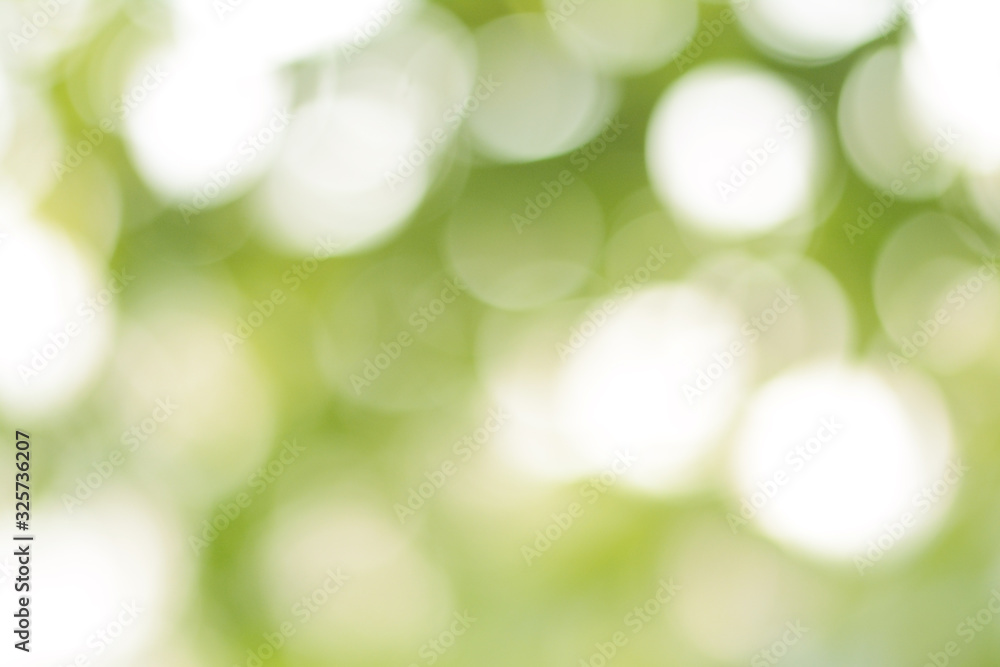 Obraz premium abstract green bokeh background 