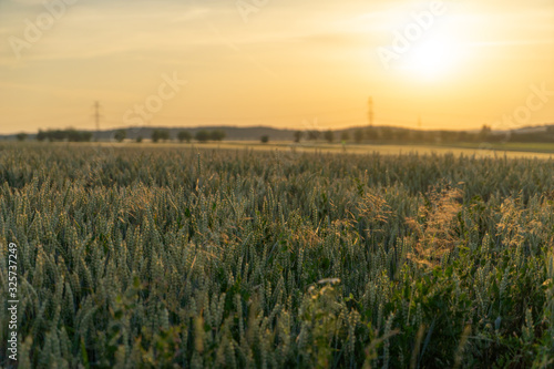 Sunrise in countryside of Czech Bohemia region