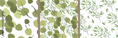 Set of seamless patterns with branches of a willow and eucalyptus on a white background. Vector