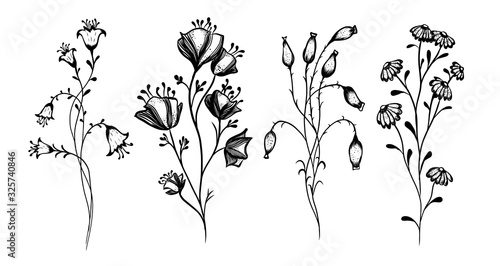 A set of monochrome wildflowers. Vector illustration