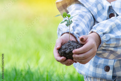 Closeup of little girl hands holding plant in soil, selective focus, save world concept