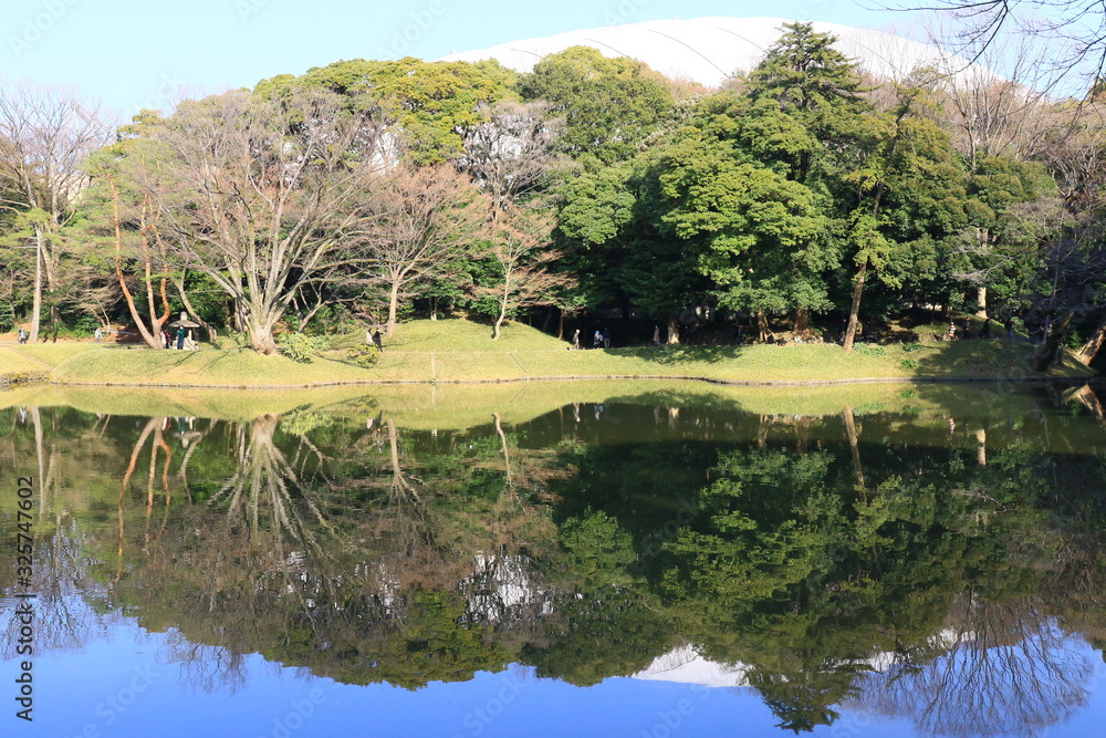 Fototapeta premium 都会のオアシス