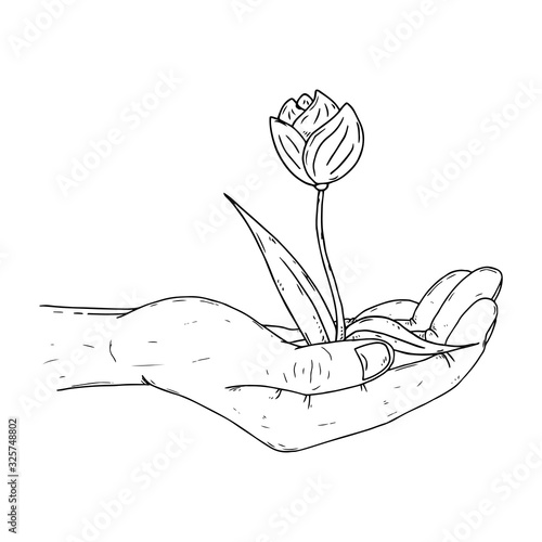 Human palms hold a young sprout icon. Vector illustration a hand holds a handful of earth with a flower. Man's hands hold a handful of earth with a young plant.