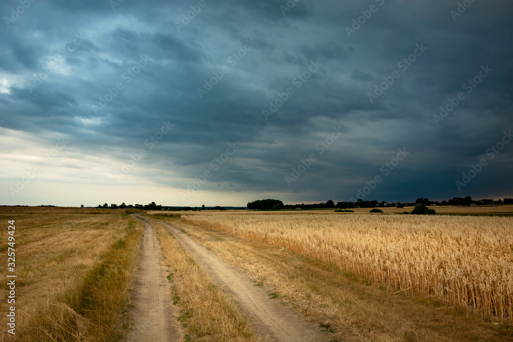 A stormy day in eastern Poland, beauty dirt road and fields A stormy day in eastern Poland, beauty dirt road and fields