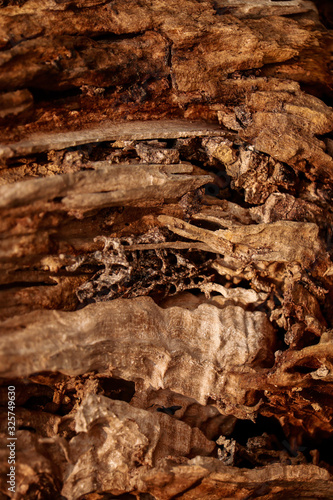 dark brown and wooden background
