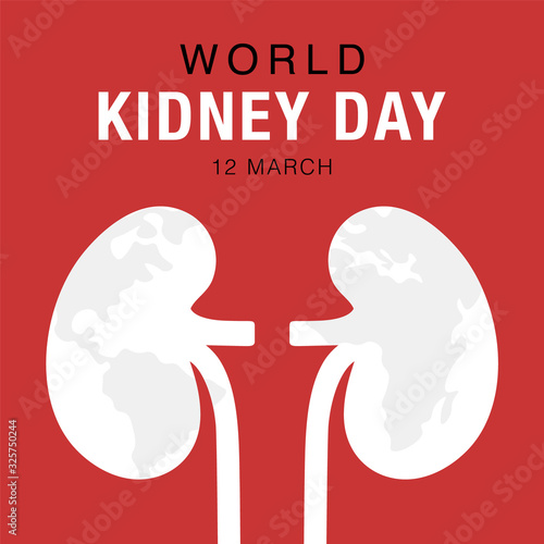 World Kidney Day, concept healthcare banner. Abstract kidney illustration. Stock vector design.