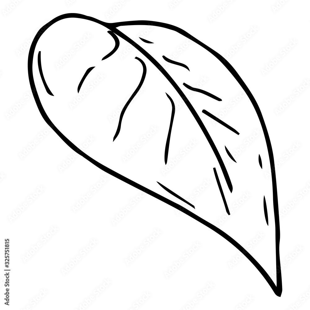 Spring leaf icon. Vector illustration of a young leaflet. Hand drawn spring leaf with drops. Spring leaf icon. Vector illustration of a young leaflet. Hand drawn spring leaf with drops.