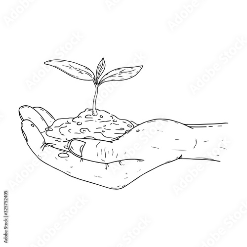Human palms hold a young sprout icon. Vector illustration a hand holds a handful of earth with a flower. Man's hands hold a handful of earth with a young plant.