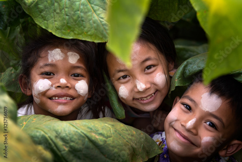Fotomurale Three children, a happy gym in Burma, smiling, local children in tobacco fields