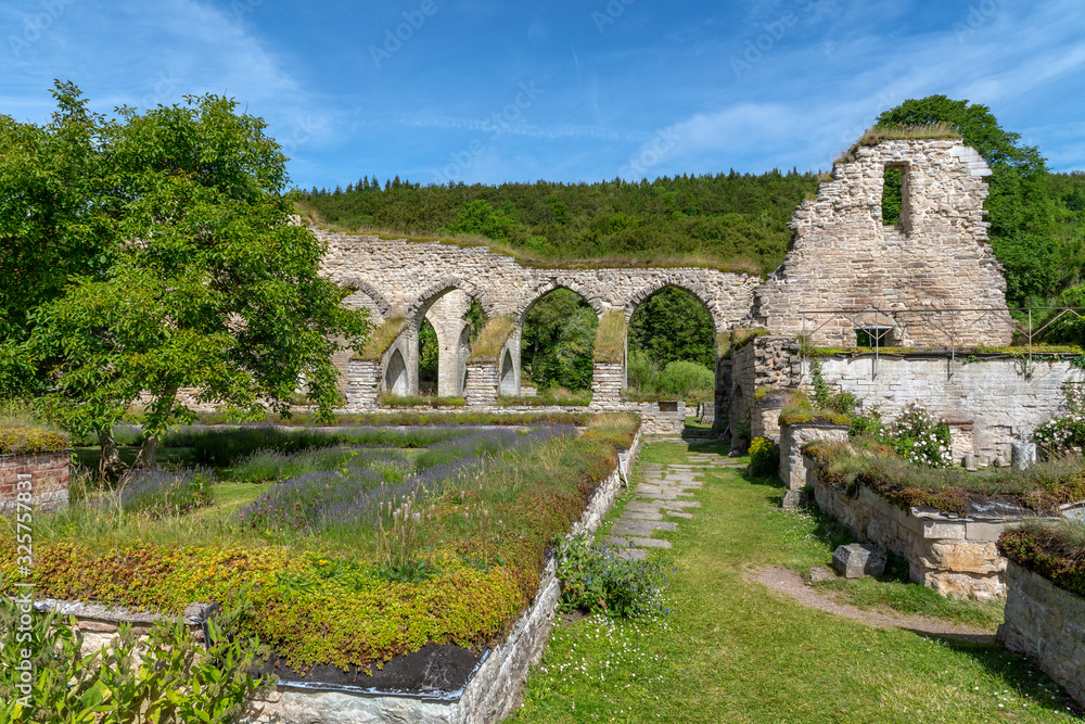 Remaining ruin of the medieval monastery in Alvastra Remaining ruin of the medieval monastery in Alvastra