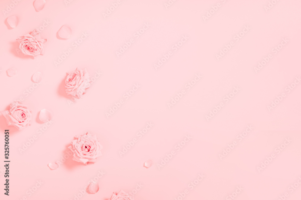 Beautiful flowers composition. Pink rose flowers on pastel pink background. Valentine's Day, Happy Women's Day, 8 March, Easter. Flat lay, top view, copy space