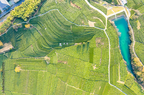 Photography tea plantation