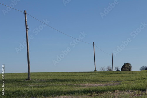 Linea de cables electricos en campo de cultivo © adradaguajardo
