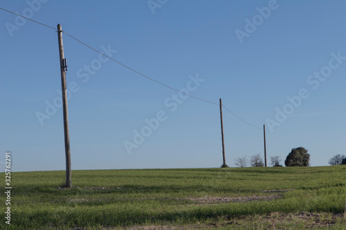 Linea de cables electricos en campo de cultivo