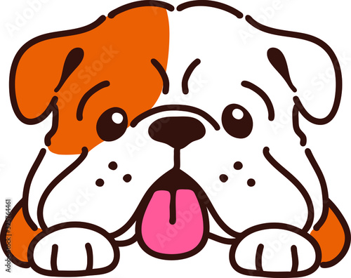 Cute smiling bulldog front view