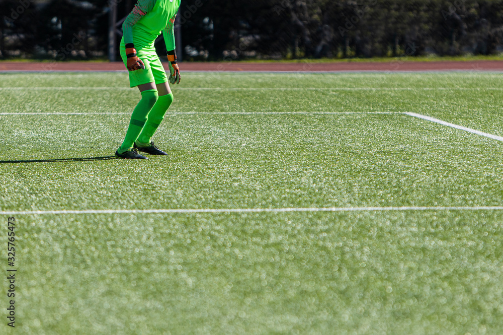 Fototapeta premium Football