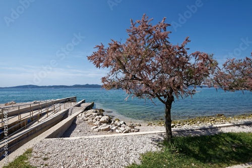 Fototapeta Naklejka Na Ścianę i Meble -  Kroatien - Zadar - Uferpromenade