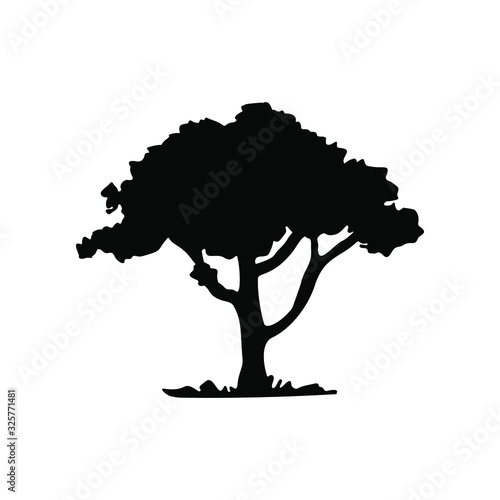 Silhouette of umbrella tree, architectural vector tree