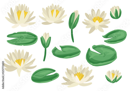 Lily pads set. Isolated on white background. Vector illustration