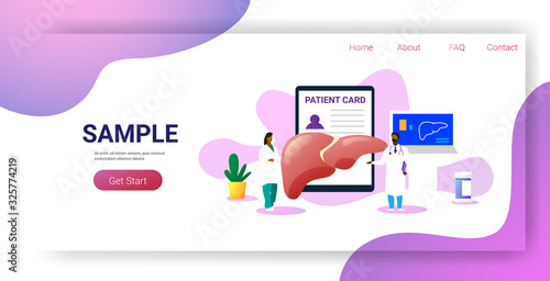 doctors team examining human liver medical consultation internal organ inspection examination treatment concept horizontal copy space full length vector illustration